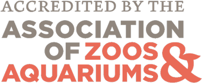 association zoos aquariums