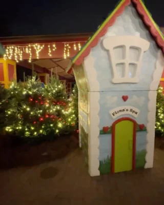 ✨ Happy National Christmas Lights Day!✨

See 5 million LED lights shine at PNC Festival of Lights through January 5! This event is included with a Zoo membership. All membership levels are on sale now!

#cincinnatizoo #nationalchristmaslightsday #holiday