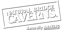 Natural Bridge Caverns white logo