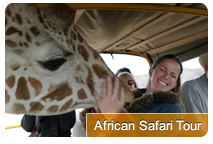 Photo of Safari Tour