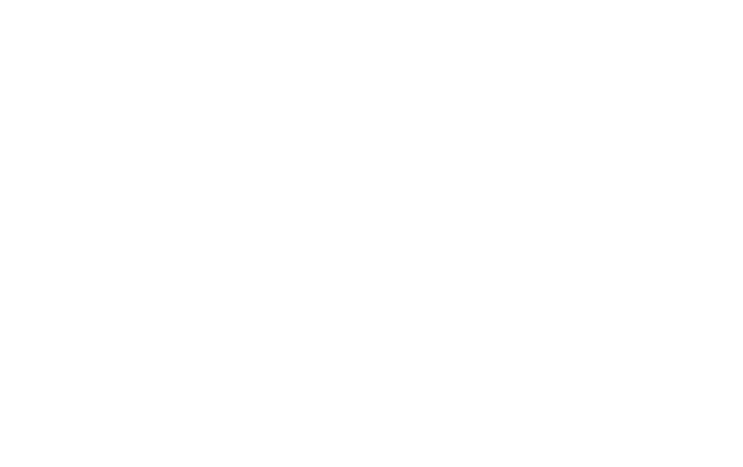 typhoon texas waterparks logo